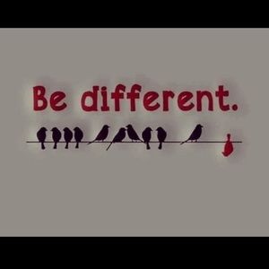 Meet your Posher, Wanda